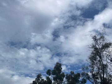 Ways of Working with Aboriginal People